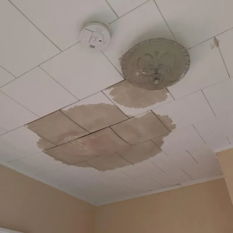 Ceiling Water Damage Repair in Sellersburg, IN