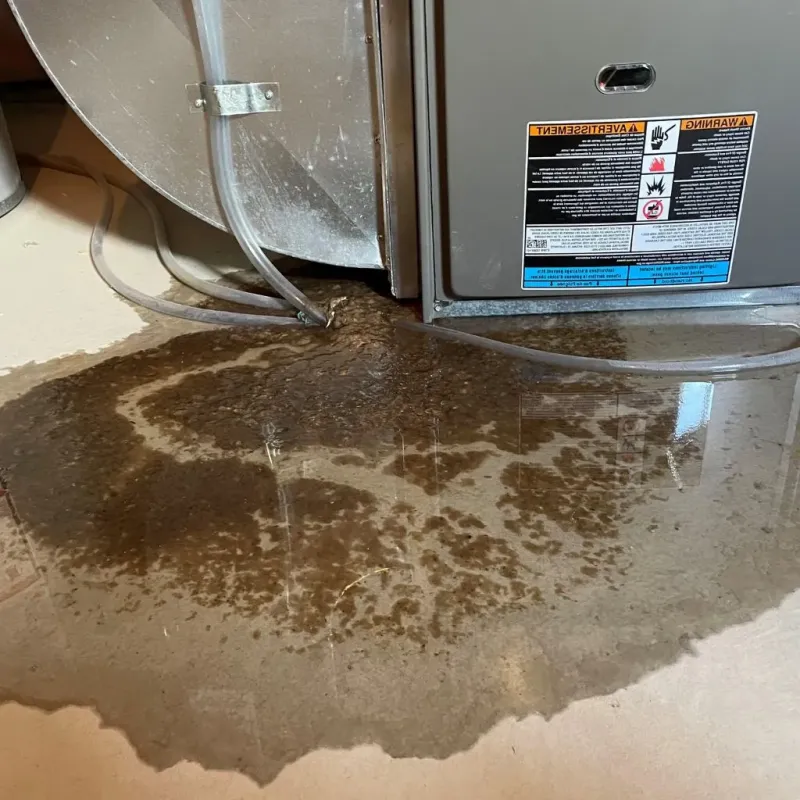 Pipe Burst and Leak Restoration in Sellersburg, IN